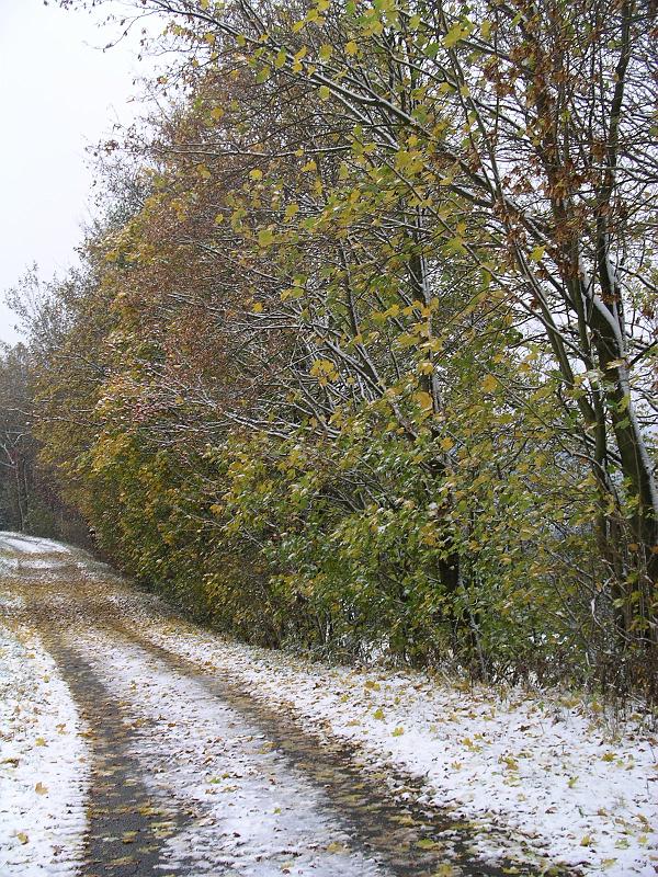 Winter 106.jpg